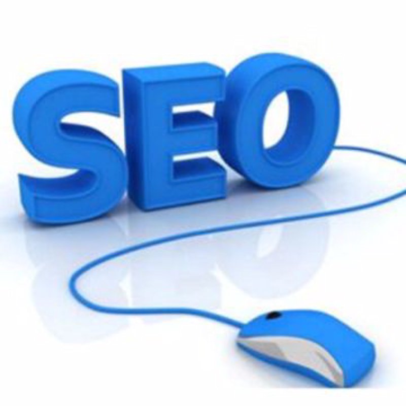 站群优化在当代 SEO 环境中的角色